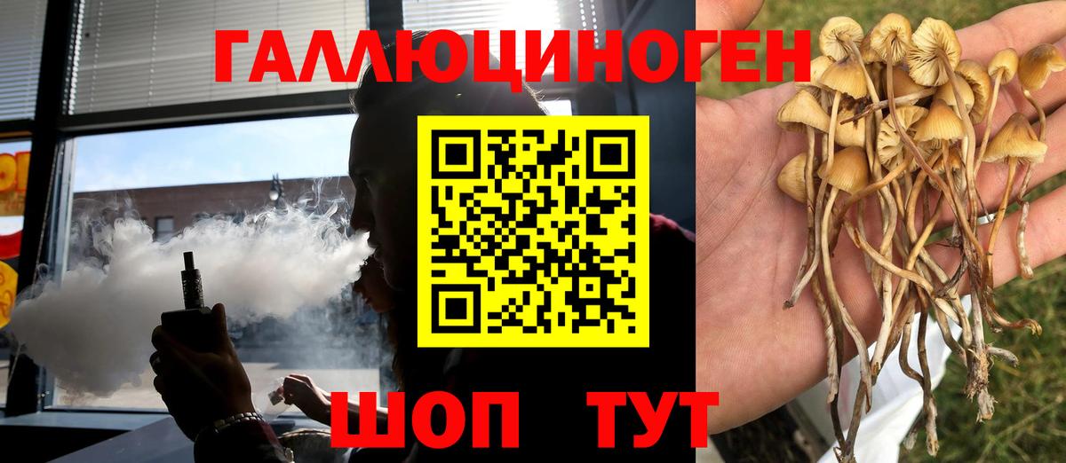 Псилоцибиновые грибы Magic Shrooms  Галлюциногенные грибы Magic Shrooms  Жуковский  Вход с VPN 