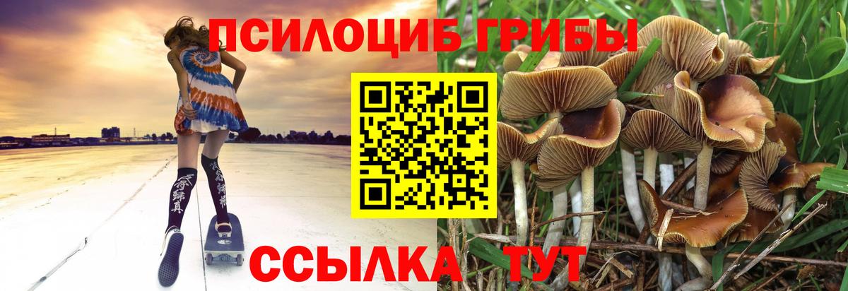 Галлюциногенные грибы Magic Shrooms Жуковский